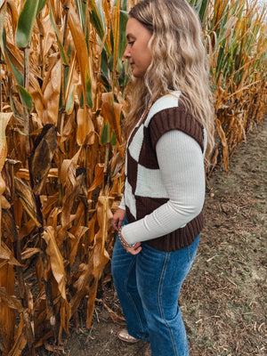 Brown Check Sweater Vest